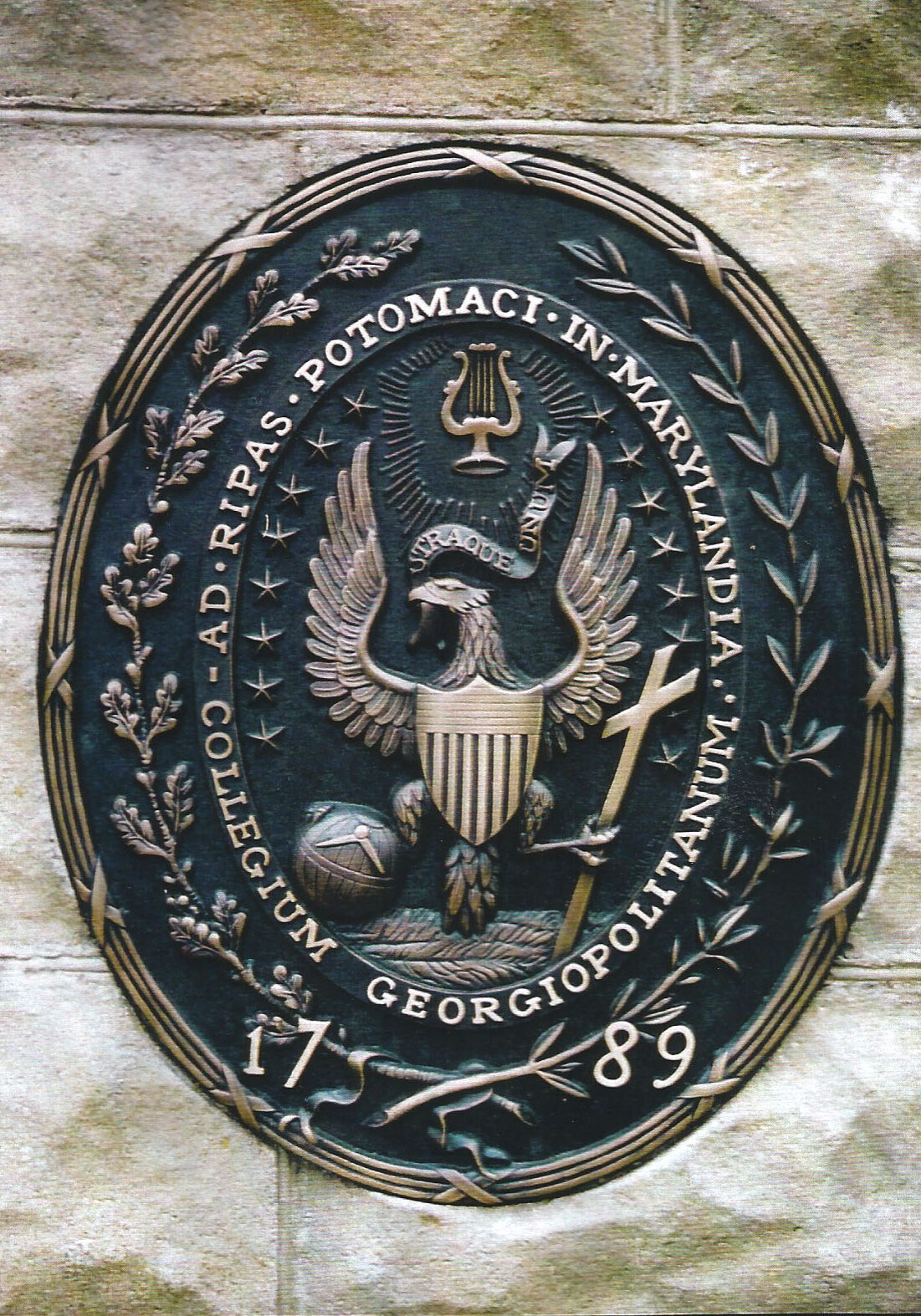 Front gate Seal 1