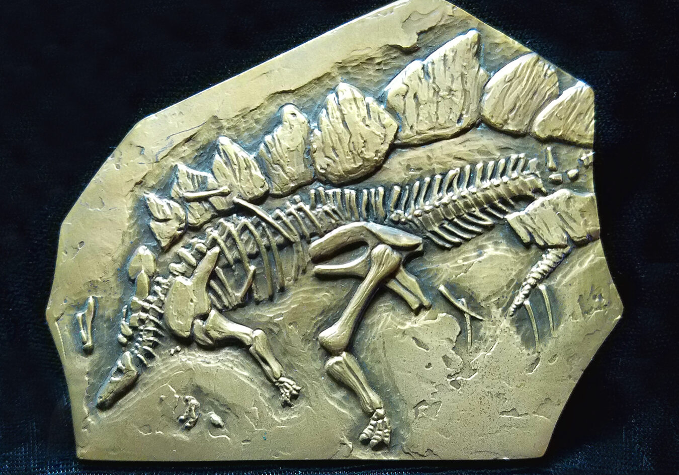 Stegosaurus reverse